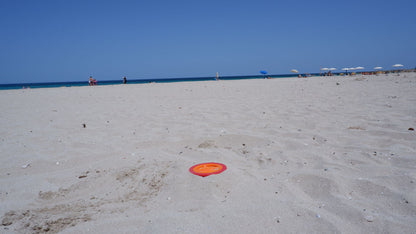 Contenedor de playa Totesti – Oculta y Protege tus Pertenencias