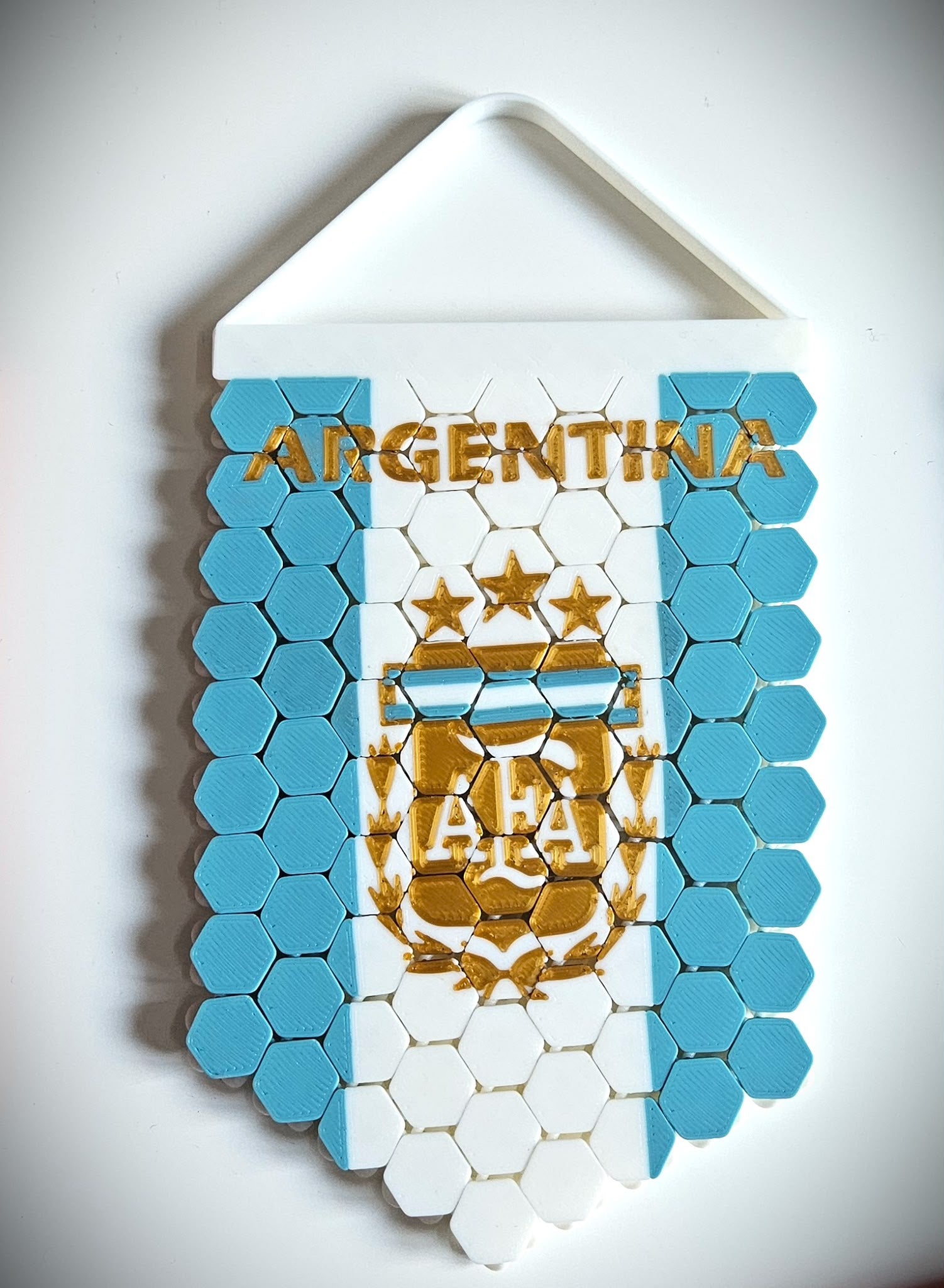 Banderin Argentina 3D personalizable Totesti vista frontal
