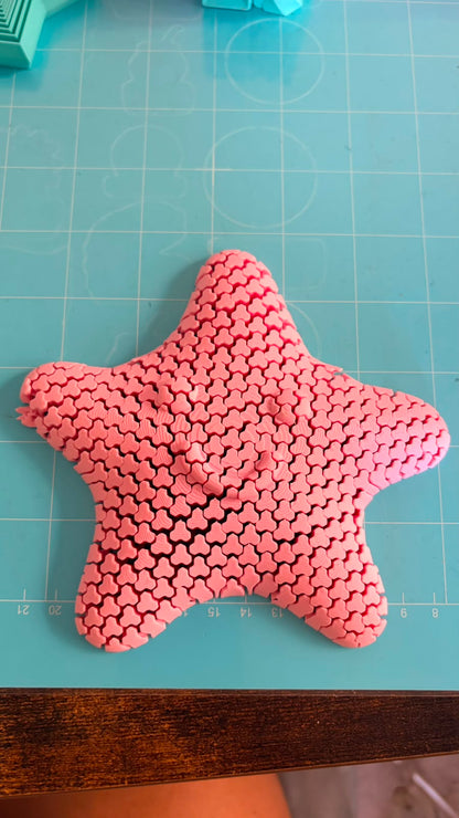 Estrella de mar sensorial articulada Totesti, fotografía real