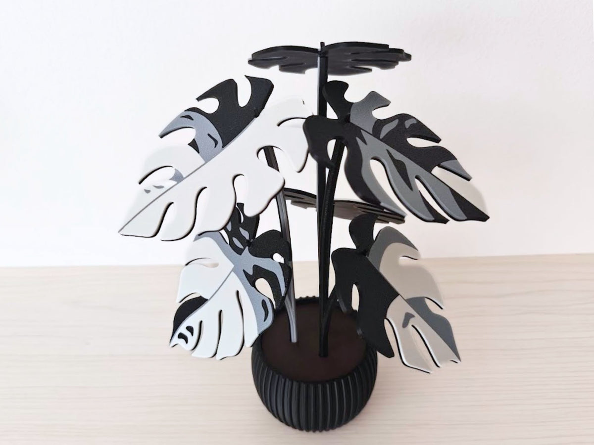 Monstera Black & white con maceta negra