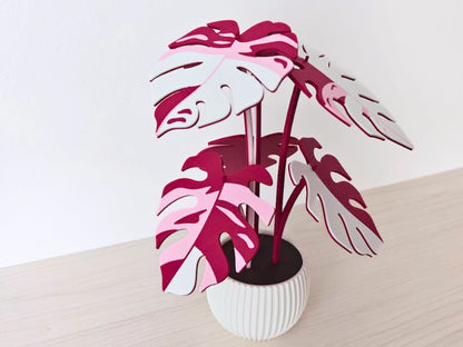 Monstera rosa y blanco vista en perspectiva