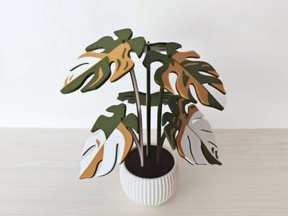 Monstera tonos tierra con maceta blanca