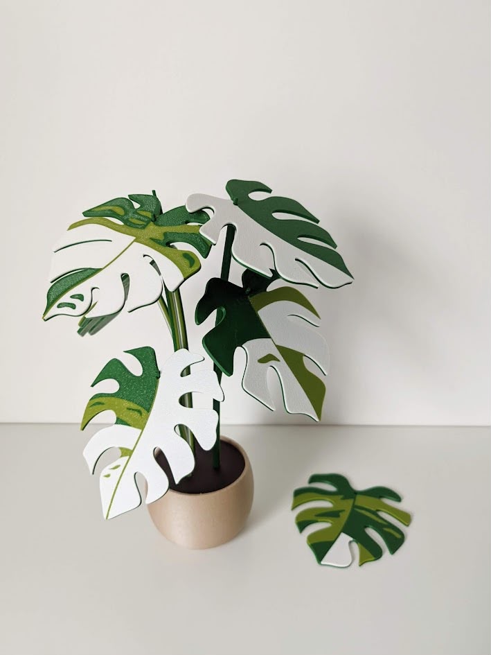 Monstera verde y blanco con maceta beige y posavasos