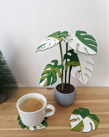Monstera Totesti verde y blanco con maceta gris y hojas posavasos desmontables