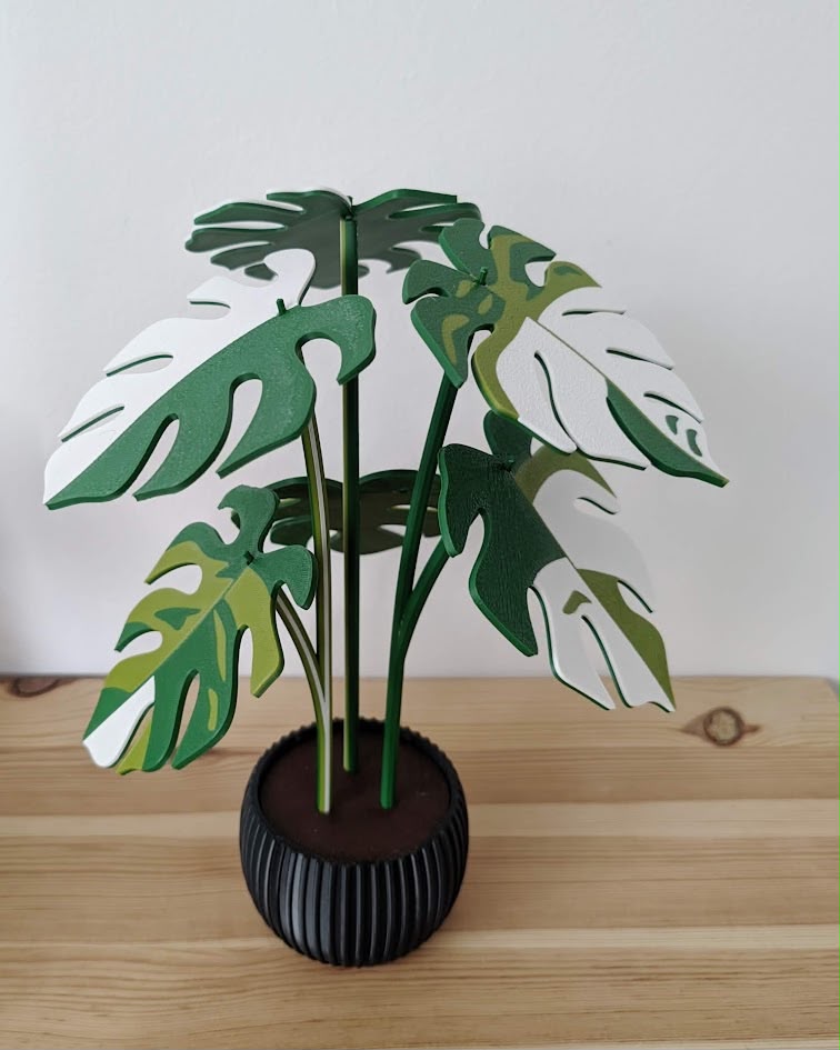 Monstera verde y blanco con maceta negra