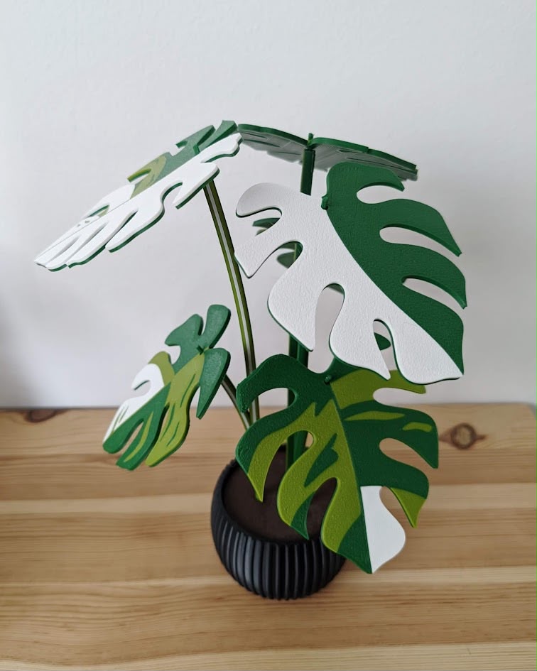Detalle de hojas de Monstera verde y blanco