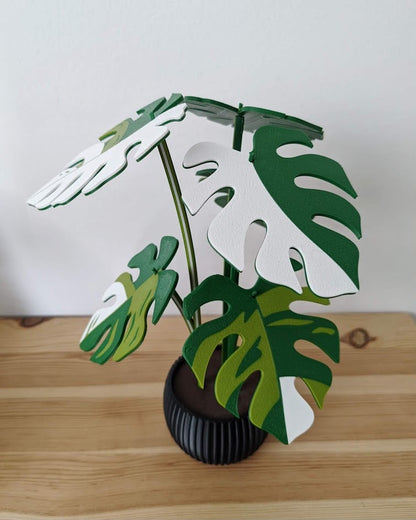 Detalle de hojas de Monstera verde y blanco