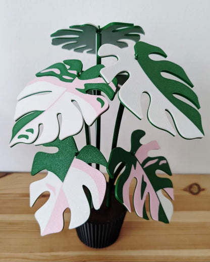 Monstera verde, rosa y blanco con maceta negra