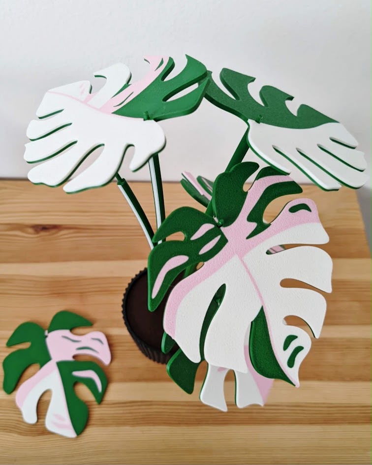 Monstera verde, rosa y blanco con posavasos desmontado